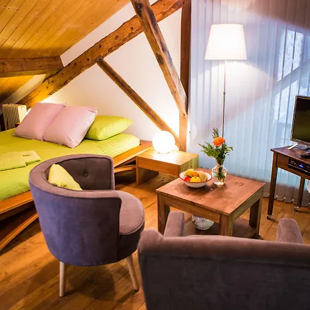 Moulin D'entre Les Roches 3* Puivert
