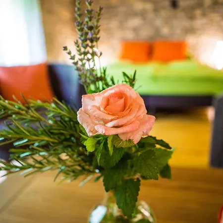 Bed & Breakfast Moulin D'entre Les Roches
