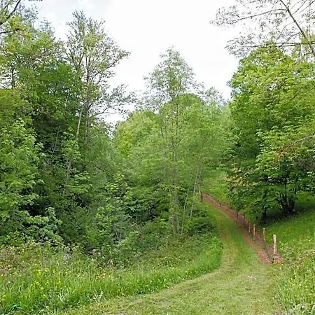 Moulin D'entre Les Roches Bed & Breakfast