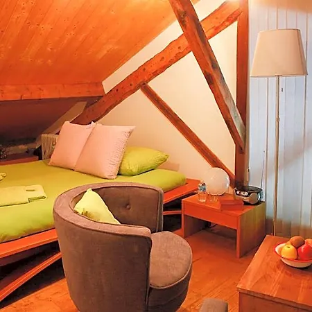 Moulin D'entre Les Roches Bed & Breakfast Puivert