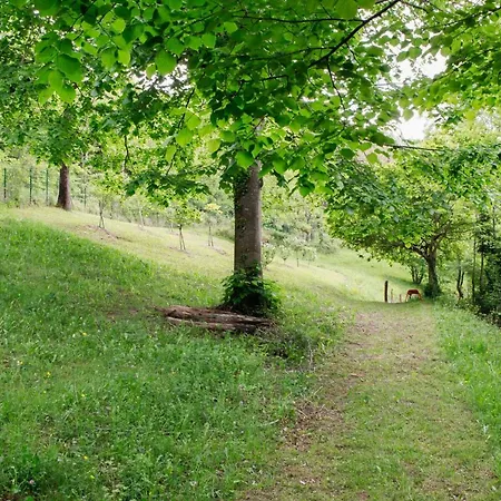 Bed & Breakfast Moulin D'entre Les Roches *
